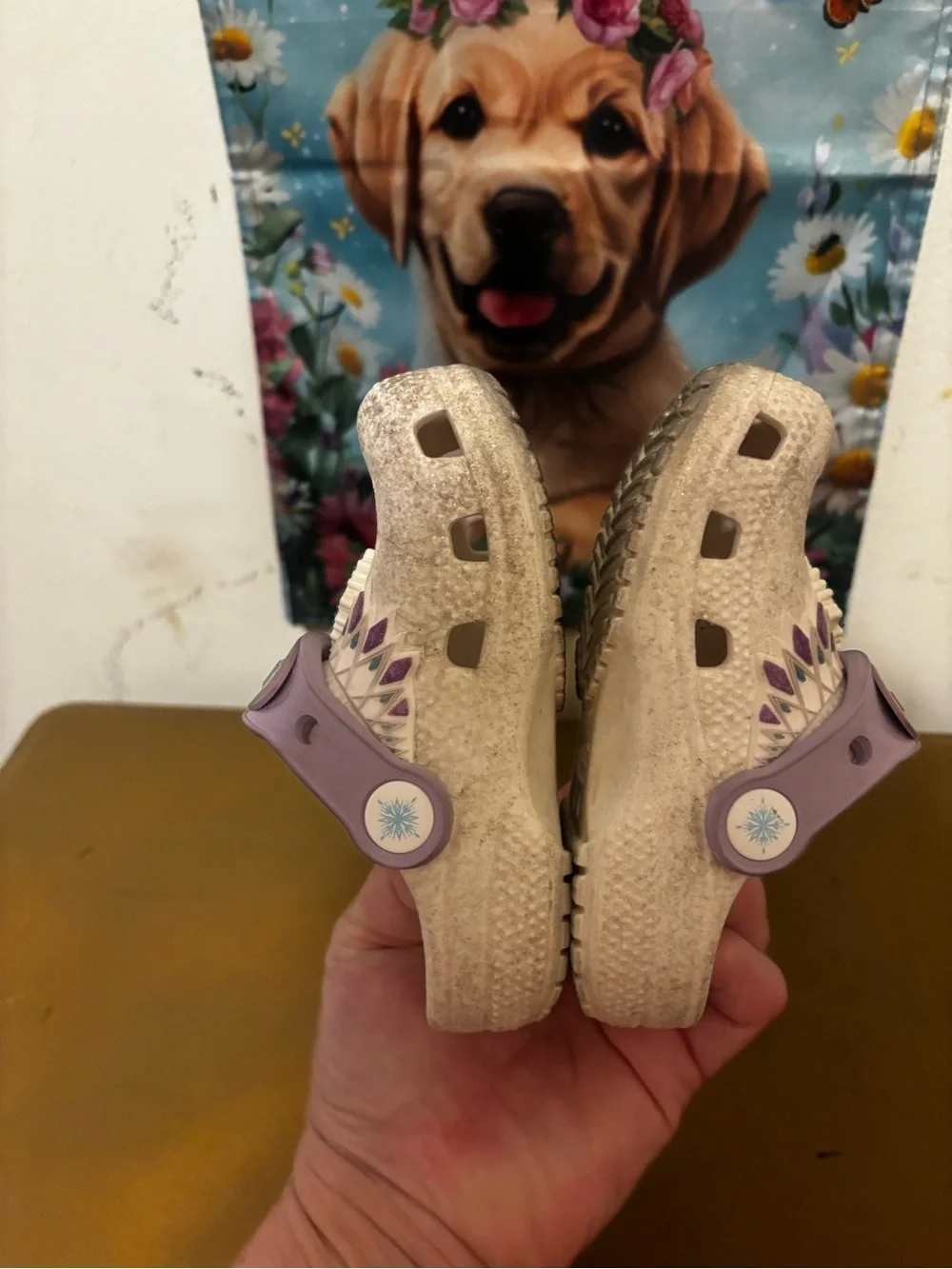 Crocs Kids Casual Waterproof Clog in Light Purple and Cream